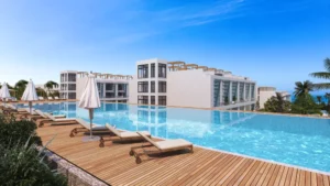 C-G1-G2 cam61.origRGB.0000 kopya-1